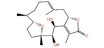 Pachyclavulariolide I